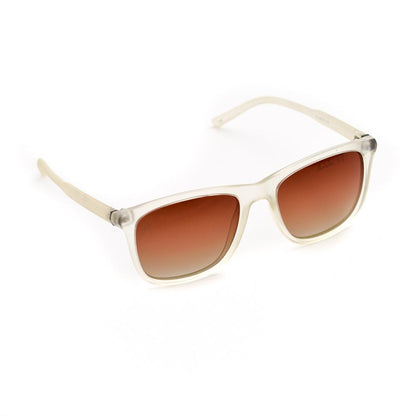 Velocity VC1952PL C8 White and Brown Wayfarer Acetate Polarized Sunglass right view